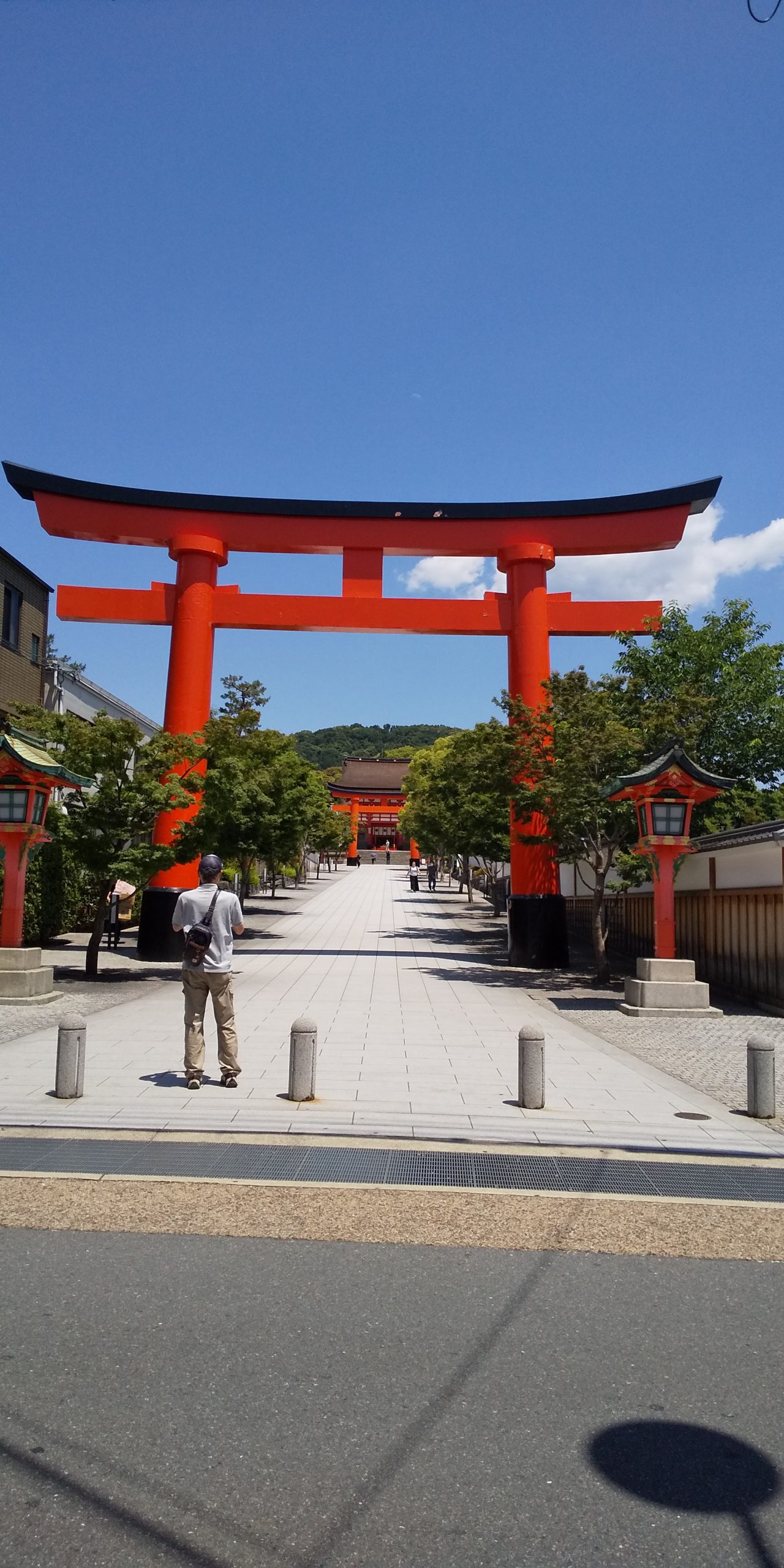 観光情報 東福寺から伏見稲荷を歩く スタッフいち押し 京都観光情報